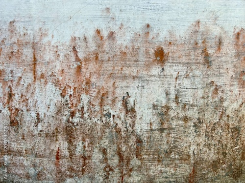 Photos white walls affected by wall fungus cause the paint to bulge and peel