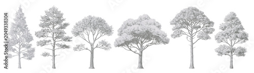Row of winter trees in grayscale silhouette style on transparent