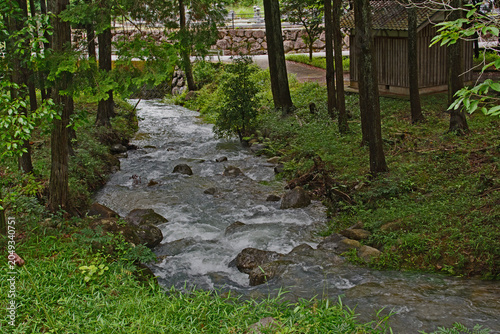 兵庫県・なか、やちよの森公園竹谷山渓谷