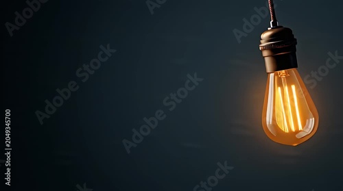 Lit Edison bulb hangs from cord, casting warm glow against dark backdrop