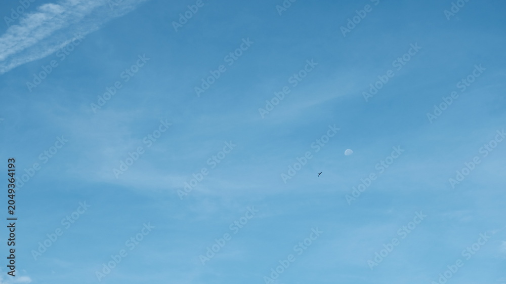 Fototapeta premium Moon Appearing In A Blue Sky