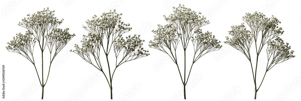 Obraz premium Set of small leafless trees illustration on transparent background
