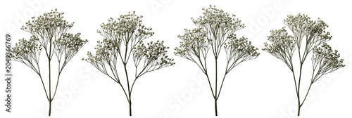 Set of small leafless trees illustration on transparent background