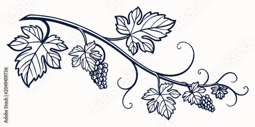 Elegant hand drawn grapevine branch with fruit clusters grapevine botanical illustration vineyard agriculture viticulture isolated monochrome ornamental artistic cultivation branches