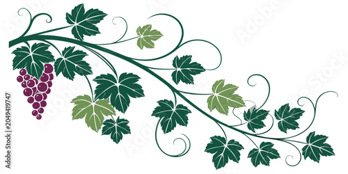 Foto Decorative grapevine ornament with dark purple grapes and deep green leaves grap