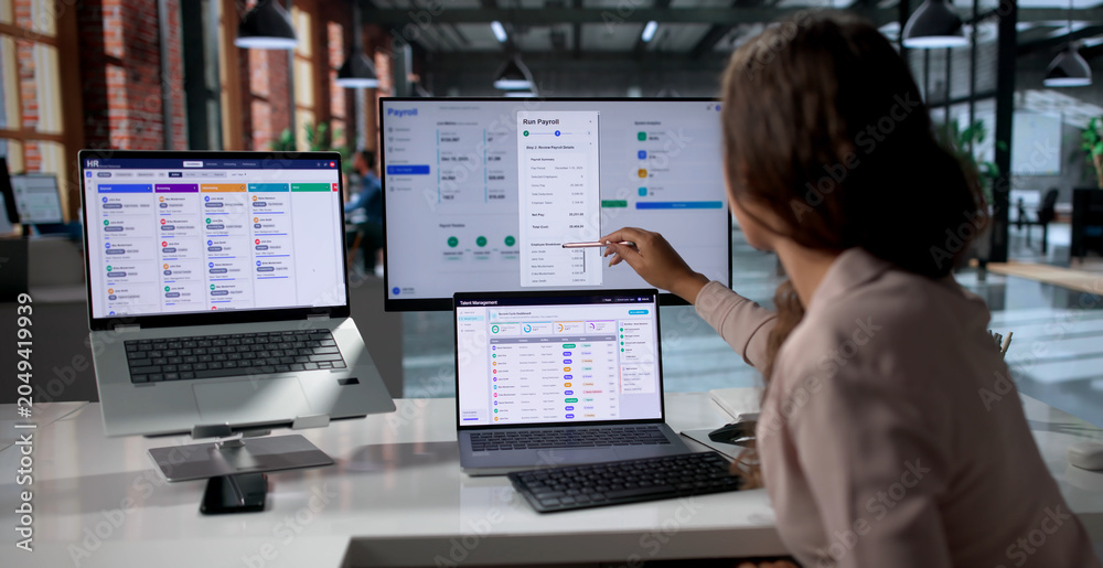 Fototapeta premium Woman Uses Payroll Software On Laptop
