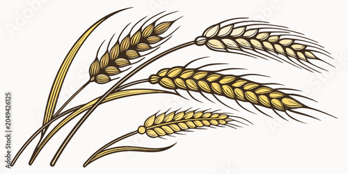 Canvas Print Graphic illustration of golden wheat ears for agricultural design with agricultu
