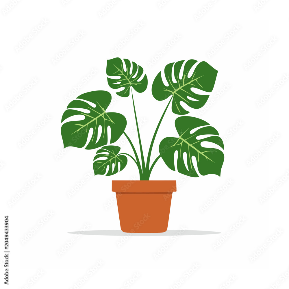 Obraz premium Flat design Monstera plant in a terracotta pot