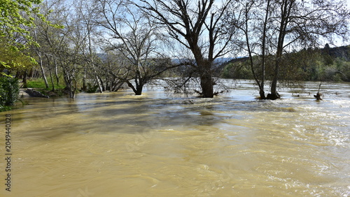 flooded river Ebre in region of village Xerta in Spain
