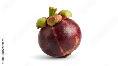 Single ripe mangosteen fruit with green calyx and deep purple rind