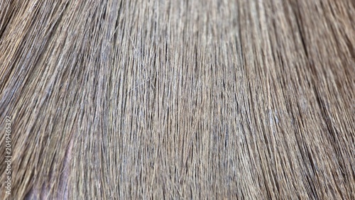 Extreme close-up of natural animal fur texture showing fine hair strands, organic patterns, and detailed surface structure for background use