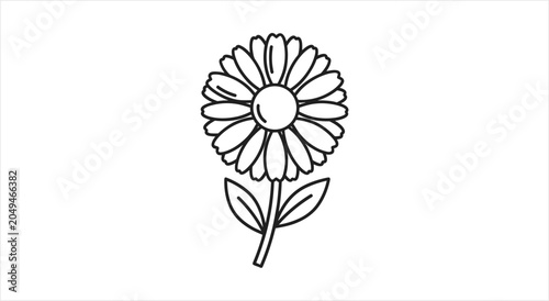 Simple Outline Drawing of a Daisy Flower with Leaves.