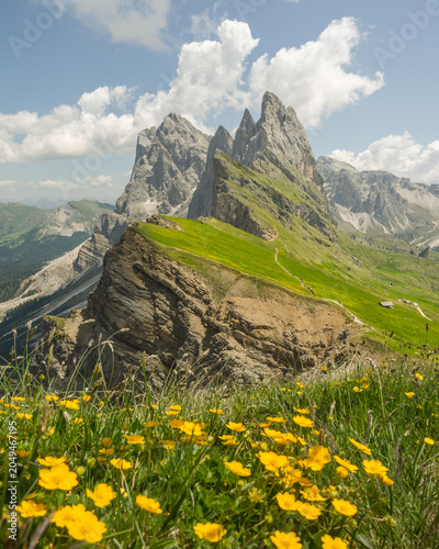 Seceda Ridge and Blooming Alpine Meadow in the Dolomites South Tyrol Italy