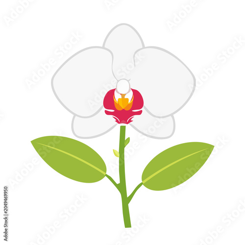 Flat design illustration of a white orchid with green leaves