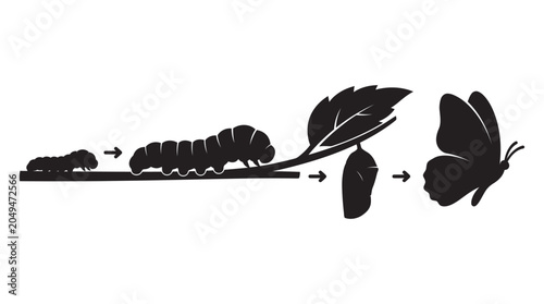 Quadro su tela Butterfly Metamorphosis Stages With Leaf Black Silhouette