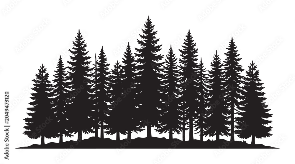 Fototapeta premium Coniferous Tree Silhouette Against White Background Forest Landscape Silhouette