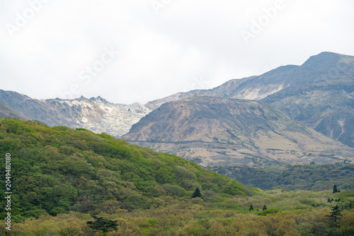 Fresh Green Tadewara Marsh and Kuju Mountains at Chojabaru, Oita, Japan
