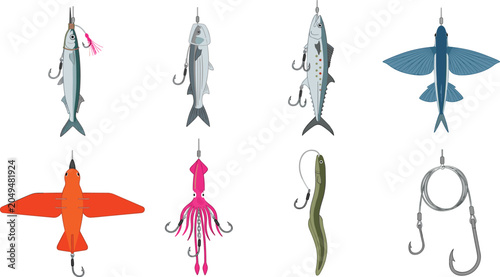 Bild auf Leinwand Fishing Lure and Bait Rig Collection with Artificial Fish Lures, Squid Jigs, Eel