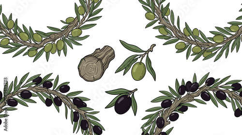 Cuadro en lienzo Olive Branch Vector Illustration Set with Green and Black Olives, Rustic Mediter