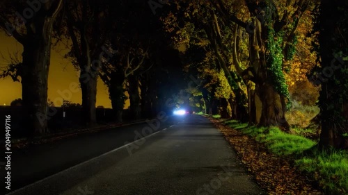 Road through autumnal trees at night with car light trails