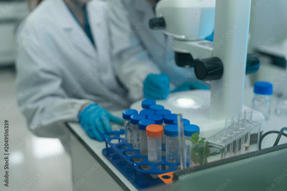 Fototapeta premium Two Asian female environmental scientists analyzing water quality samples with centrifuge and petri dish in laboratory.