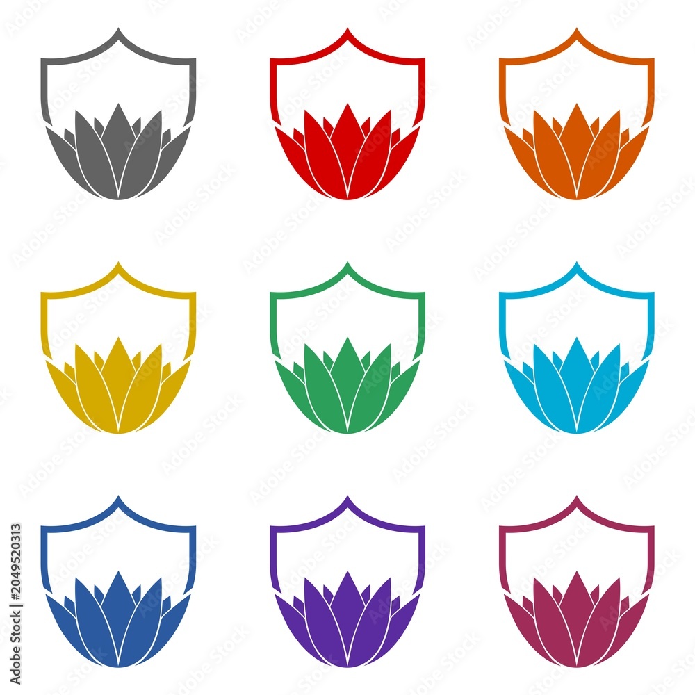 Obraz premium Lotus on Shield icon isolated on white background. Set icons colorful
