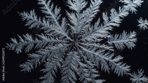 Intricate ice crystal formation on black background.