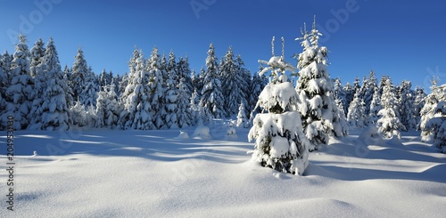 Panorama, deep snow-covered untouched winter landscape, spruces (Picea abies) covered with snow, bright sunshine, blue sky, Harz National Park, Saxony-Anhalt, Germany