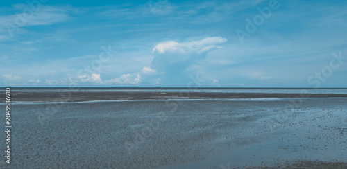 Foto Vast Low-Tide Mudflats and Coastal Horizon in Thailand