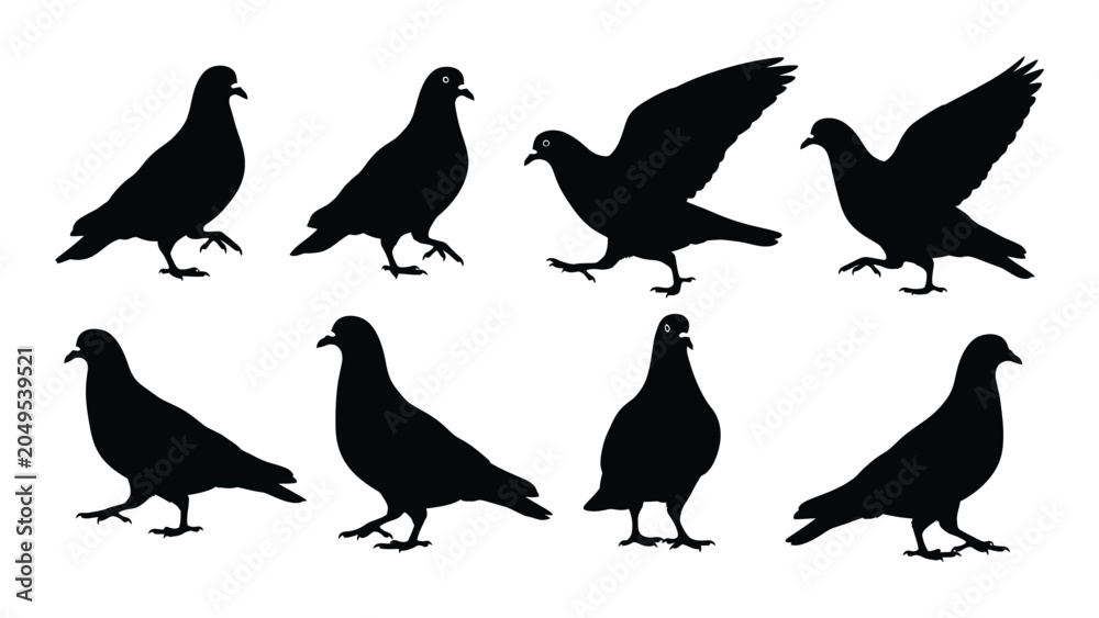 Fototapeta premium Collection of pigeon silhouettes in various poses against a white background silhouette pigeons bird birds doves avian feathered plumage wildlife