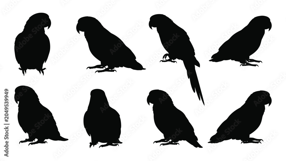 Fototapeta premium Collection Of Parrot Silhouettes In Various Poses Against A White Background Silhouette parrots psittaciformes avian bird birds tropical exotic feathered