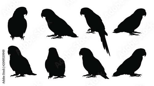 Foto Collection Of Parrot Silhouettes In Various Poses Against A White Background Sil