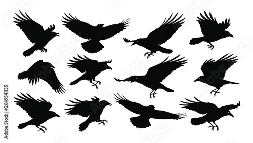Tableau sur toile Collection of black bird silhouettes in various flight poses against a white bac