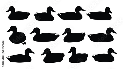 Canvas Print Collection Of Mallard Duck Silhouettes In Various Poses Against A White Backgrou