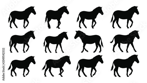 Bild auf Leinwand Collection Of Horse Silhouettes In Various Poses Against A White Background Blac