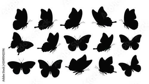 Collection Of Black Butterfly Silhouettes In Various Poses Against A White Background Silhouette butterflies lepidoptera insect insects flying wing wings