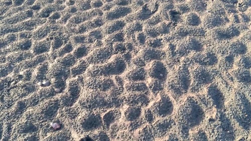 Close‑Up of Textured Sandy Surface with Pebbles and Natural Patterns