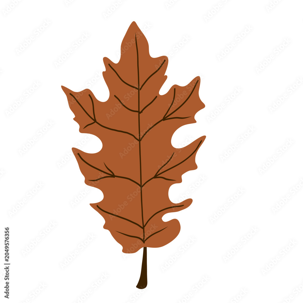 Fototapeta premium Autumn maple leaf vector illustration isolated on white background