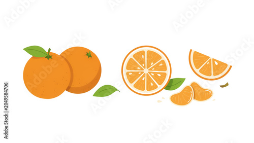 Three fresh oranges with slices in a clean and simple style Vector