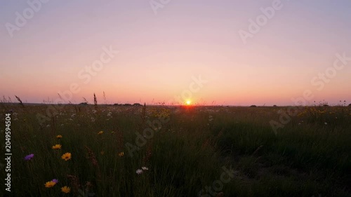 The video captures a serene scene of a wide, open field during sunset
