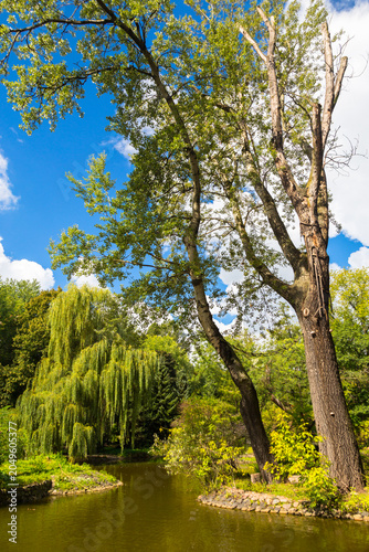 Scenic Landscape of a Lush Green Park with a Tranquil Pond and Weeping Willow Tree under a Bright Blue Summer Sky
