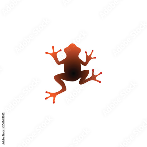 Cuadro en lienzo Flat vector illustration of a cute red poison dart frog with arms and legs spread