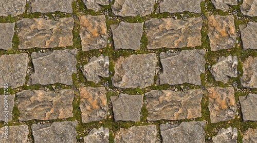 Seamless Old Stone Pavement Texture with Moss Growth