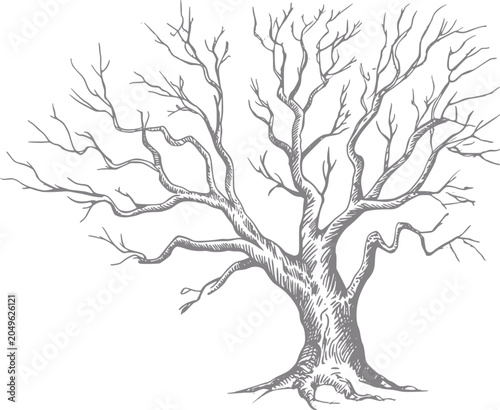 Hand-drawn of a bare, gnarled tree with intricate branches