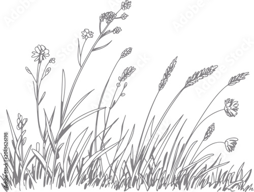 Slika na platnu Delicate line of wildflowers and tall grasses swaying in the breeze