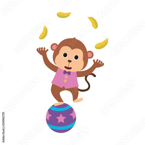 Photography Cute circus monkey character juggling bananas while balancing on a ball