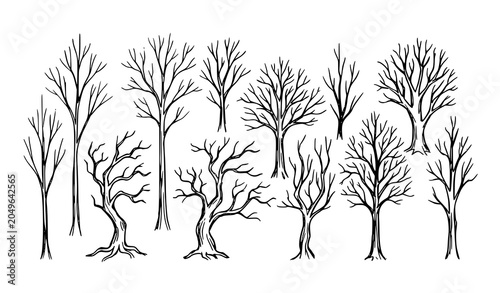 Bild auf Leinwand Hand drawn bare winter trees silhouettes sketch set with spooky leafless branche