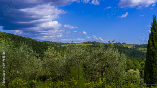 panorama toscano