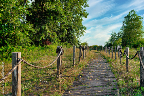 Photos Wooden Path in Pineda Nature Reserve