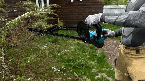 Hands in protective work gloves using a hedge trimmer to shape bushes and a green hedge. Gardening, landscape maintenance, yard work, outdoor care and professional landscaping.